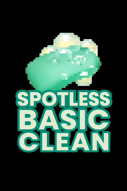 Basic Shoe Clean
